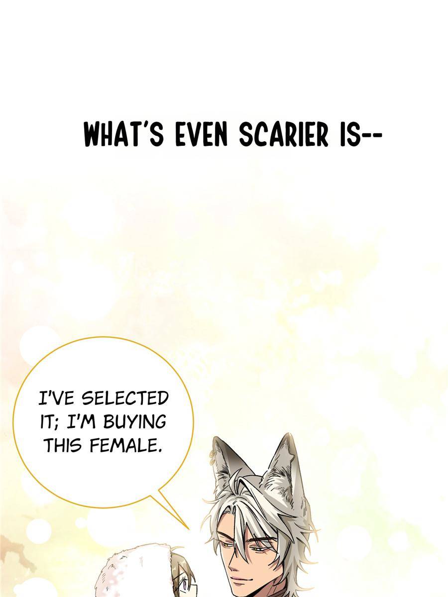 75773936 900 1200 55197